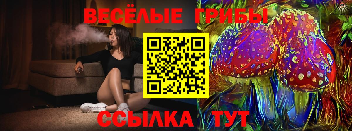 Псилоцибиновые грибы мицелий Дивногорск